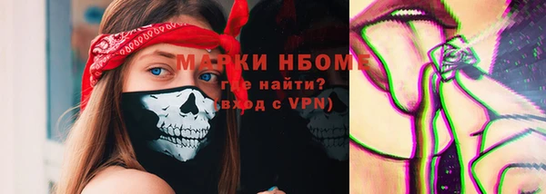 мдпв Бородино