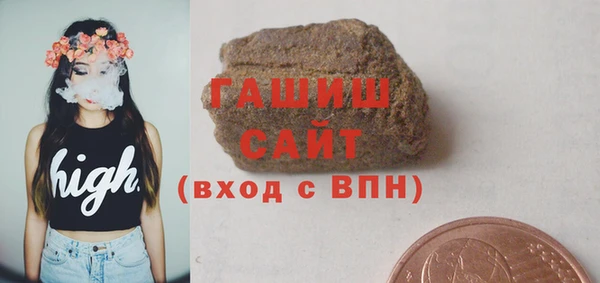 мдпв Бородино