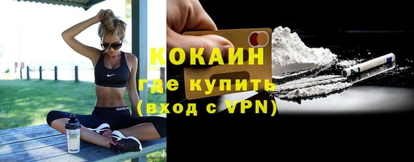 мдпв Бородино