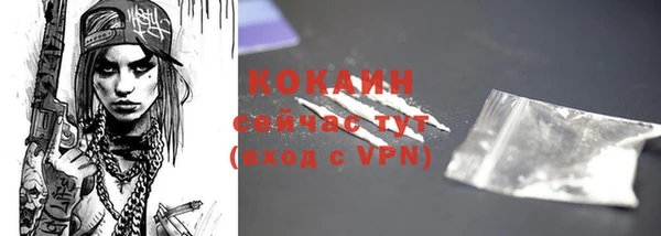 мдпв Бородино