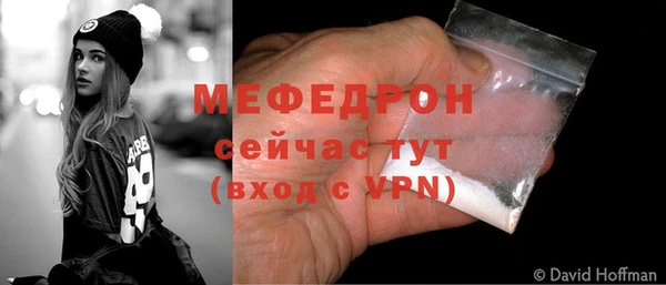 мдпв Бородино