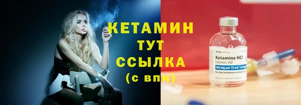 крисы Бронницы