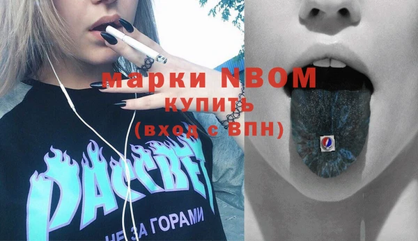 мдпв Бородино