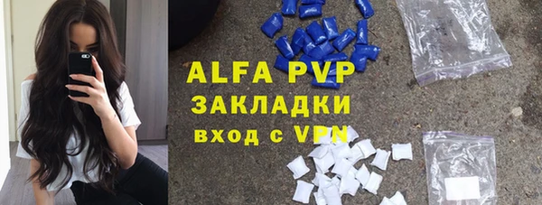 мдпв Бородино