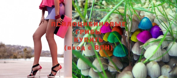 крисы Бронницы