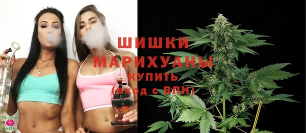 мдпв Бородино