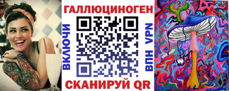 Псилоцибиновые грибы Cubensis  Купить где  Бикин 